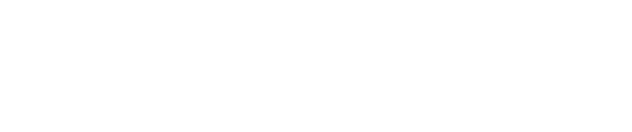 Hirondelle - Febbraio 2006